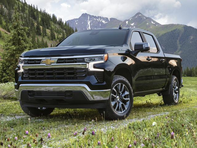 Schedule a test drive for 2024 Chevrolet Silverado 1500 in Rice Lake, WI